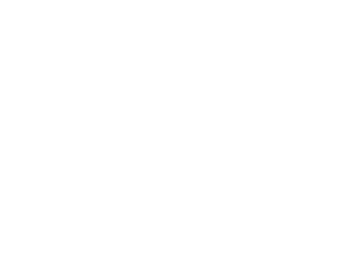 HERMES LOGO